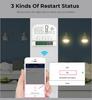 Tuya Smart WiFi Dimmer Switch with Voice Control and 2-Way Mini Dimming Module