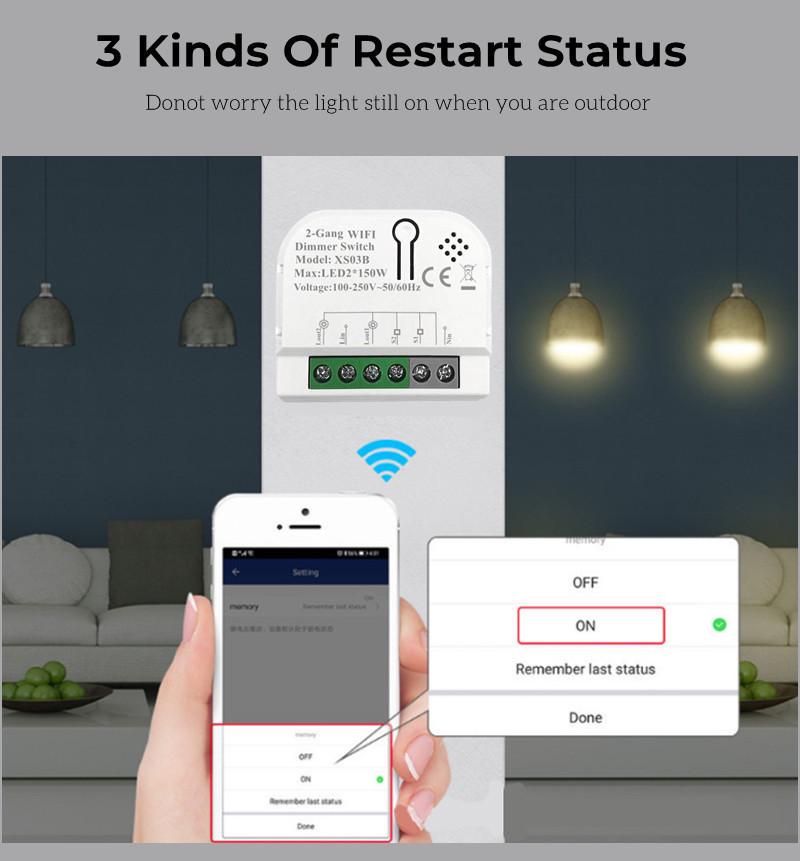 Tuya Smart WiFi Dimmer Switch with Voice Control and 2-Way Mini Dimming Module