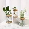 Automatic Water Absorption Plant Propagation Pot Nordic Style Plastic Hydroponic Vase for Office Desk Green Decor