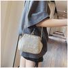 Mouth Gold Small Bag Female Wild Messenger Bag Chain Shoulder Fashion Clip Mouth Straw Bag
