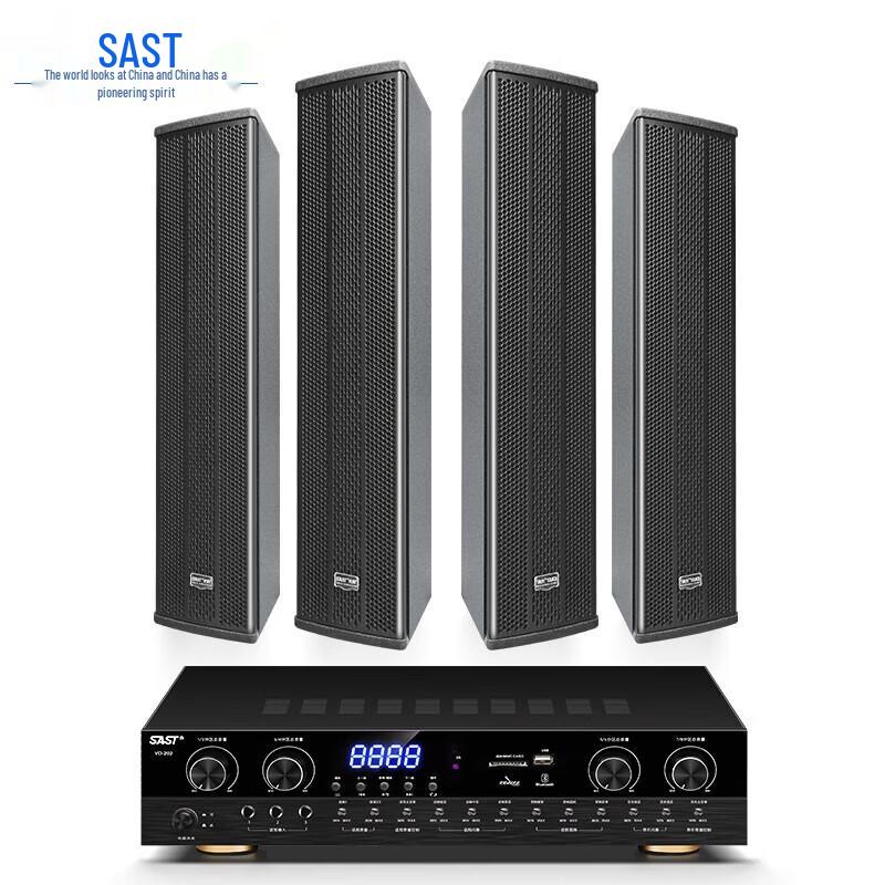 

SAST Professional Conference Sound System Set
