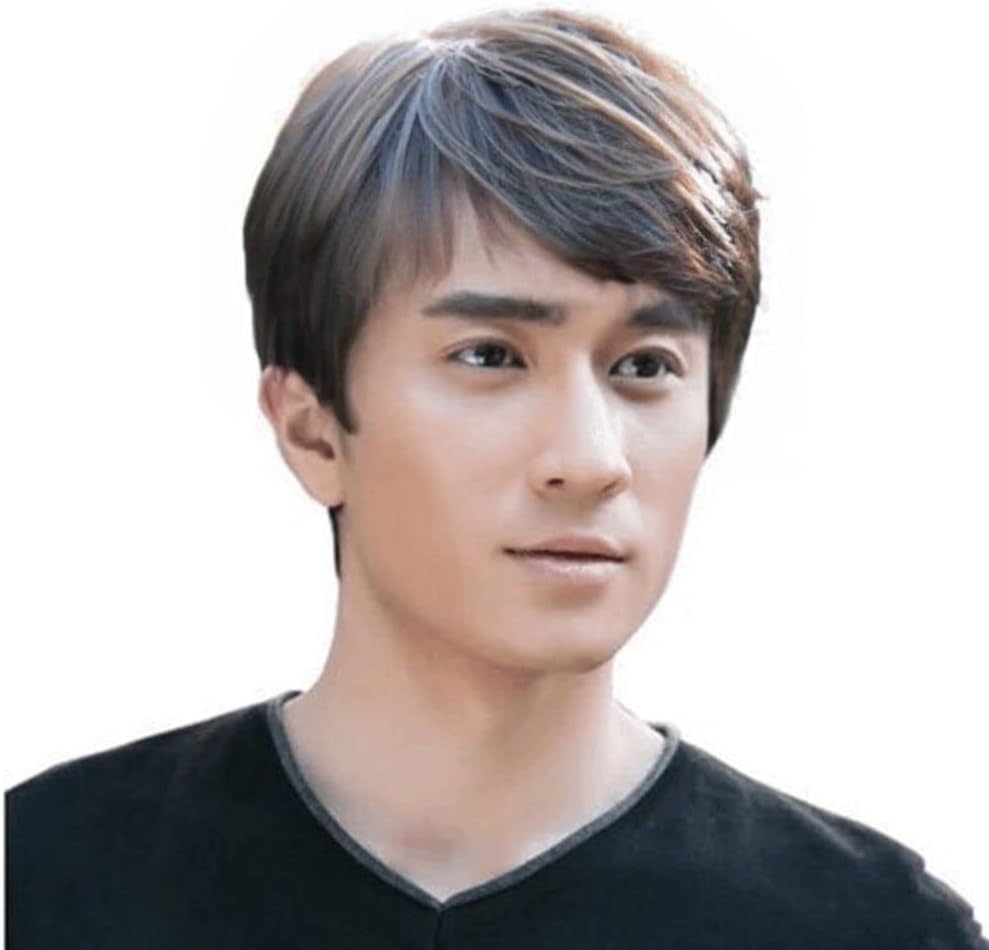 

Оптимист черный серый светло-коричневый парик, мужской парик, стрижка, волосы, короткий, накладные волосы, косплей, мужской, кроссдрессинг, волк, незаметный, подарок, волосы,