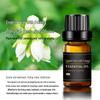 Aroma Stone Essential Oil Diffuser: Long-Lasting, Water-Soluble Humidifier Incense for Bedroom