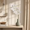 80 CM Length Artificial Orchid Flowers Moisturizing Latex Real Touch Orchids  Home Decoration