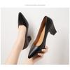 New Pointed-toe Work Shoes for Women with Thick Heels Shallow Opening and High Heels on One Foot