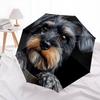 Black Schnauzer pattern, automatic folding umbrella, portable and foldable design, 8 ribs, a Christmas or birthday gift.