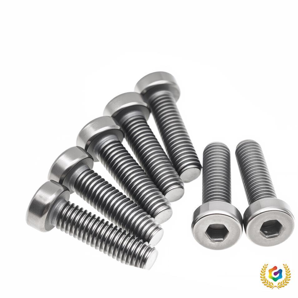 

Гвинт з плоскою шестигранною головкою з високотемпературно стійкого титанового сплаву TC4 M3*10 (3 pcs)