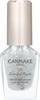 Canmake Colorful Nails N24 Twinkle Drop 8ml 24 Twinkle Drop