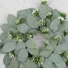 Eucalyptus Wreath, Artificial Easter Wreaths for Front Door, Wreath