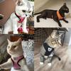 Langxingcs Pet Cat Dog Leash Set with Escape-Proof Adjustable Harness, Reflective Safety Strap and Collar, Soft Breathable Mesh Material