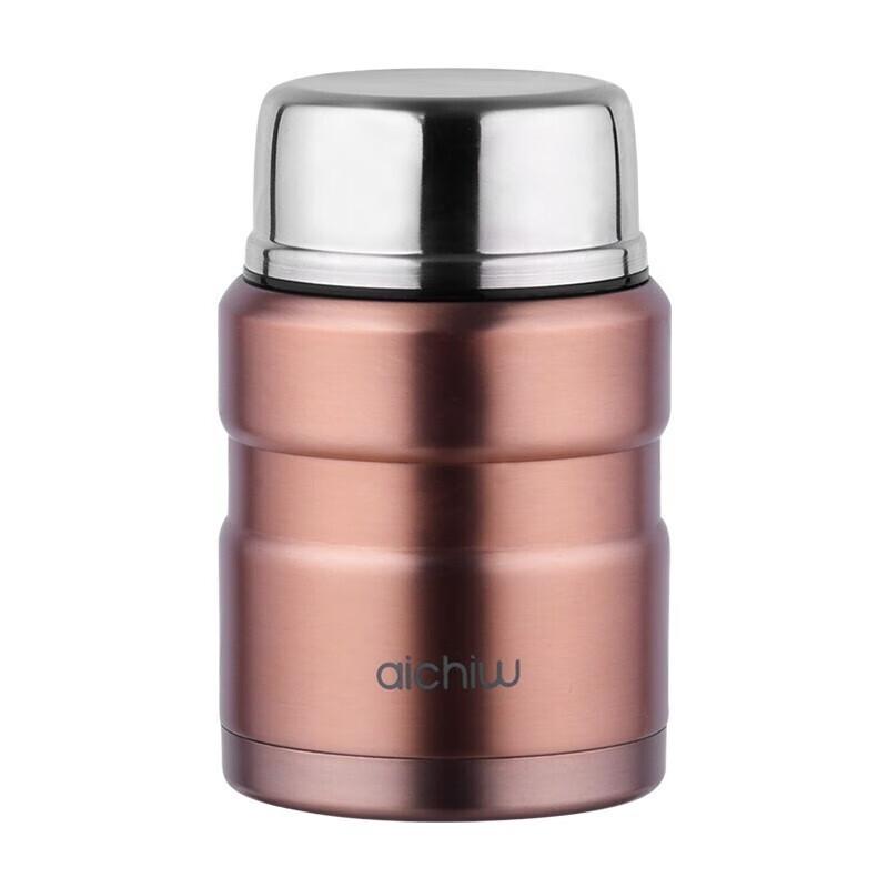 

Aichiw 500ml Multipurpose Insulated Food Jar & Drink Bottle