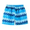 Teen Boys Swim Trunks Quick Dry Swimwear Bathing Suit For Big Boys Beach Shorts