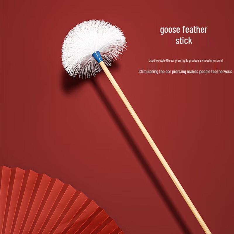 Professional Ear Cleaning & Care Tools