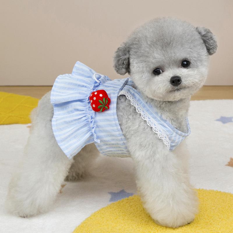 Pet Clothing Pomeranian Chihuahua Dog Clothing Princess Traction Skirt Small Dog
