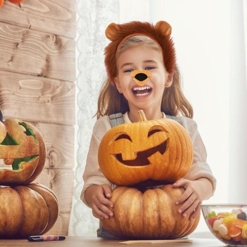 Animal Cosplay Costume for Kid Birthday Cosplay Party, Halloween Lion Dress up Costume, Lion Hairband, Tail, Bowtie