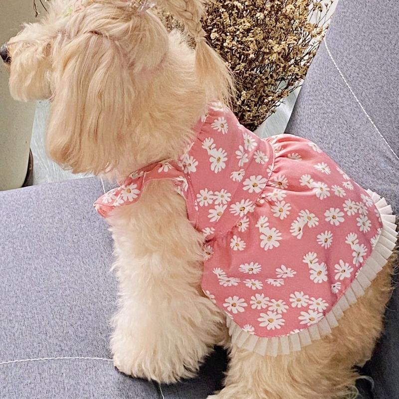 Розовое платье-принцесса с мелким цветочным кружевным кантом и рукавами-крылышками XS розовый