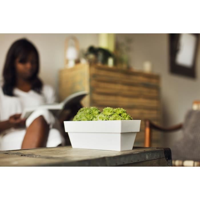 Jardinière 12x30 Cm Collection LIMITED - Blanc