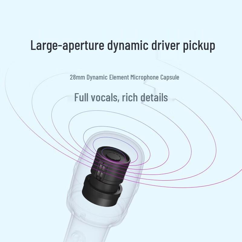 Xiaomi KTV Wireless Dual Microphone Kit