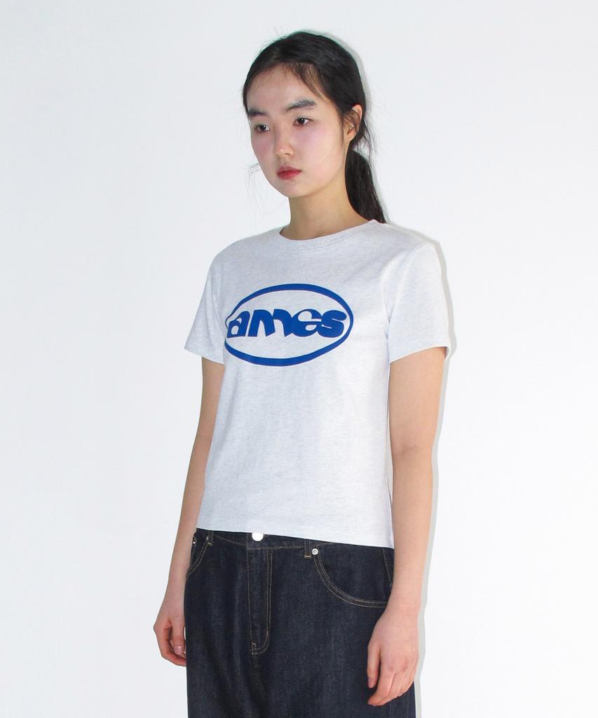 AMES-WORLDWIDE Ames Circle Logo Symbol Tee Light Gray