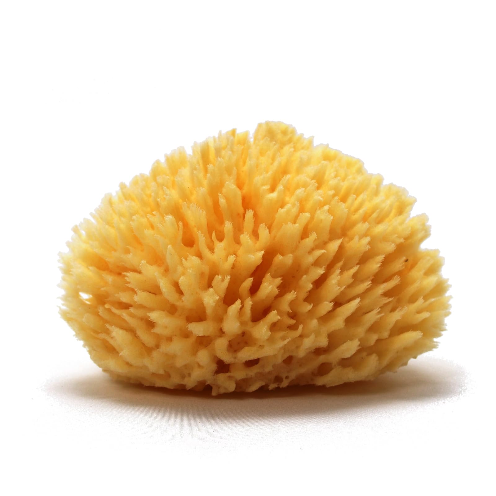 

Yogaesse Sponge Soft Wool Body Sponge Rich Foam Body Washing Sponge Gentle for Sensitive Skin Gift Women Greek Yogasse (11-13cm, 1) жовтий