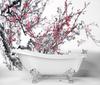 Wallpaper Cherry Blossom Flowers Japan