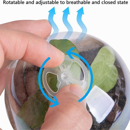 10/20 st plantskolakrukor med fuktkupol Miljövänlig allmänt använd biologiskt nedbrytbar startkrukaplanteringsbehållare