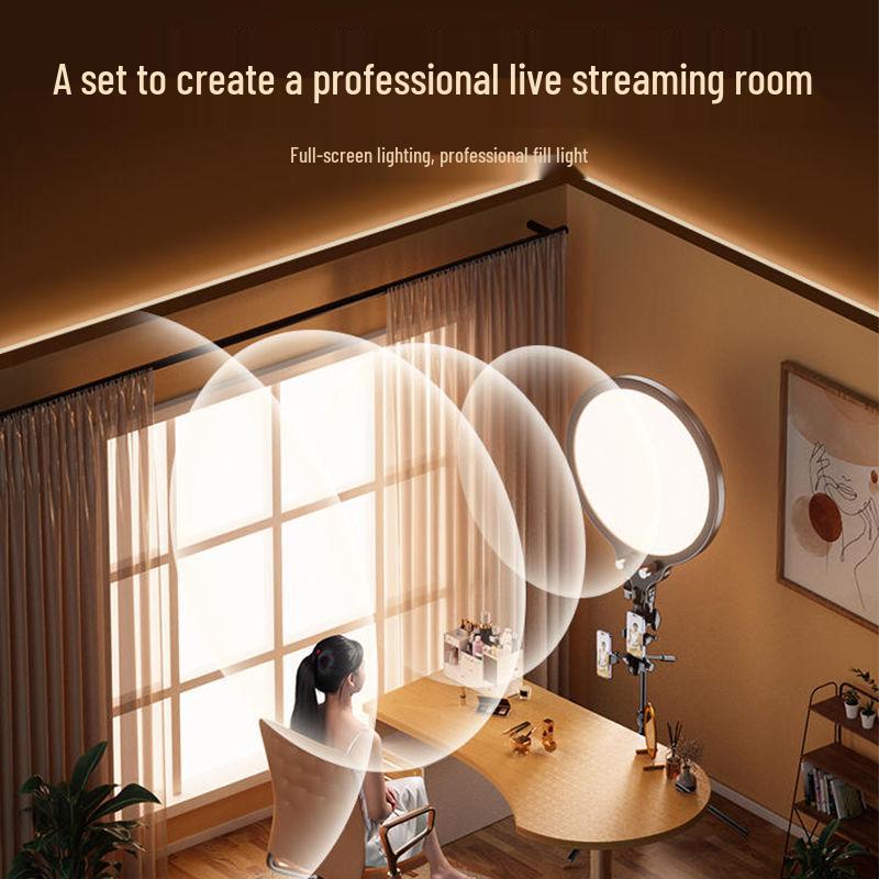 LED Live Streaming Selfie Light: Desktop & Floor Standing
