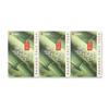 Bamboo Salt Soap 3 Pack [W96E91D_250918]