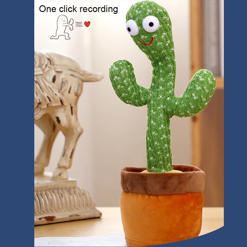 Dancing Cactus Twisting Cactus Twisting Zpívání Tanec k narozeninám