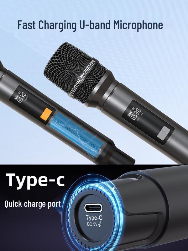 SANSUI 2024 Portable Home KTV Bluetooth Speaker System with Display