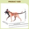 1/6 Dog Figure Action Accessories Birthday Gift Painted Learning Toy Photo Prop Decorative