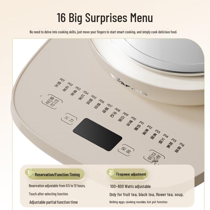 Bear Multi-function Electric Wellness Kettle CN plug (adapter included)