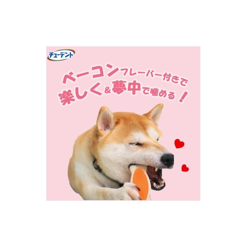 Chudent Toothbrushing Toy Bone SS (Extra Small Dog Size) Bacon Flavor White x 2 Pack Hartz Dog Toy Developed in Collaboration with Veterinarians