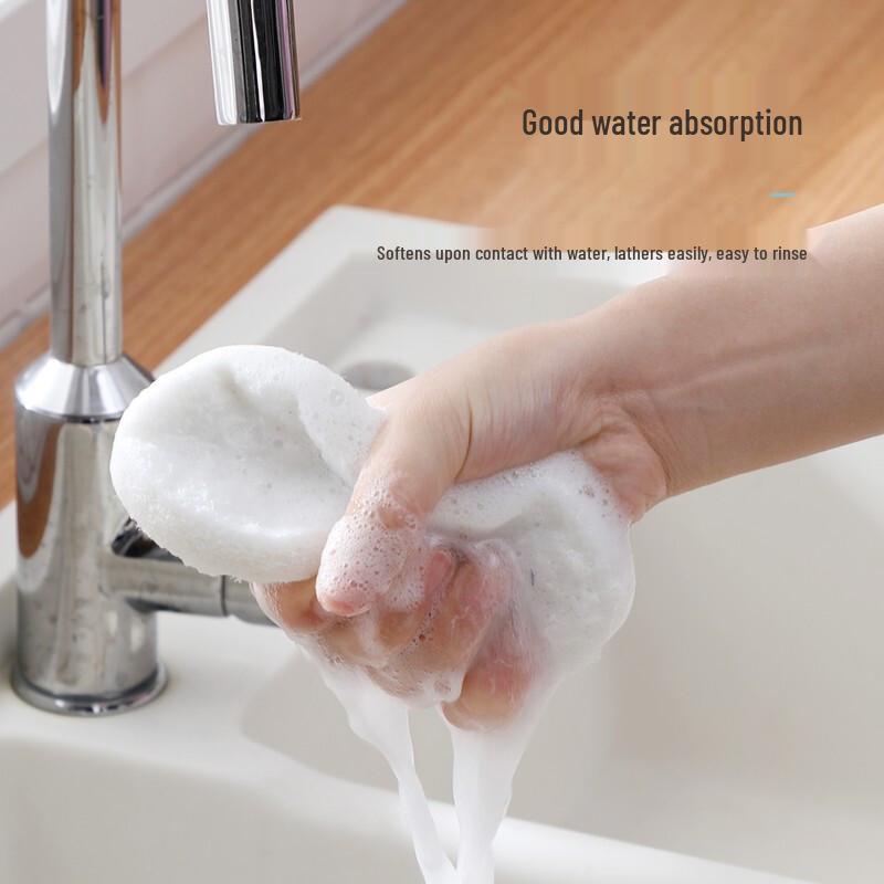 LYNN Long-Handle Non-Scratch Scouring Pad Cleaning Brush