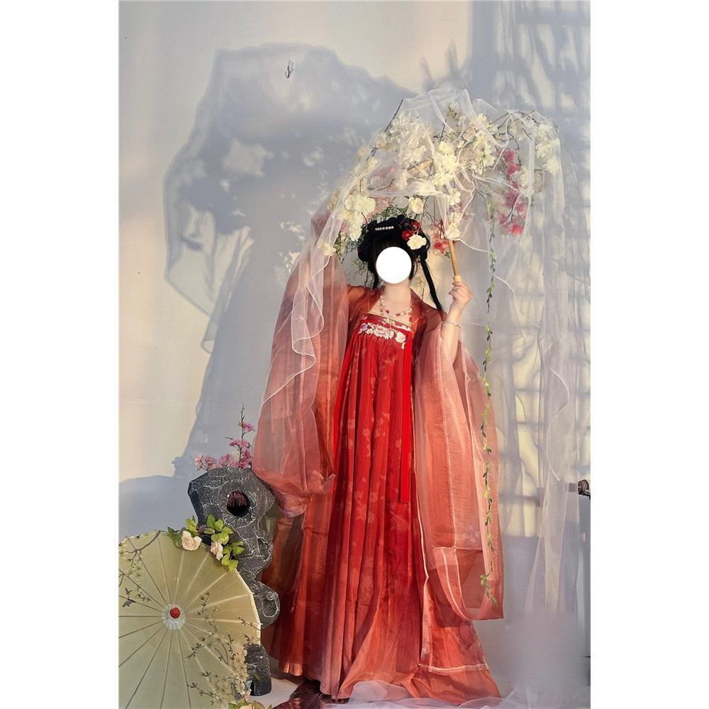 Rochie HE ZI în stil chinezesc din dinastia Tang Costum pentru femei Hanfu Costum zilnic brodat