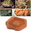 Tortoise Water Dish Reptile Bath Basin Anti-Slip Turtle Water Food Dish with Ramp for Aquarium Tank Terrarium for Gecko Snake