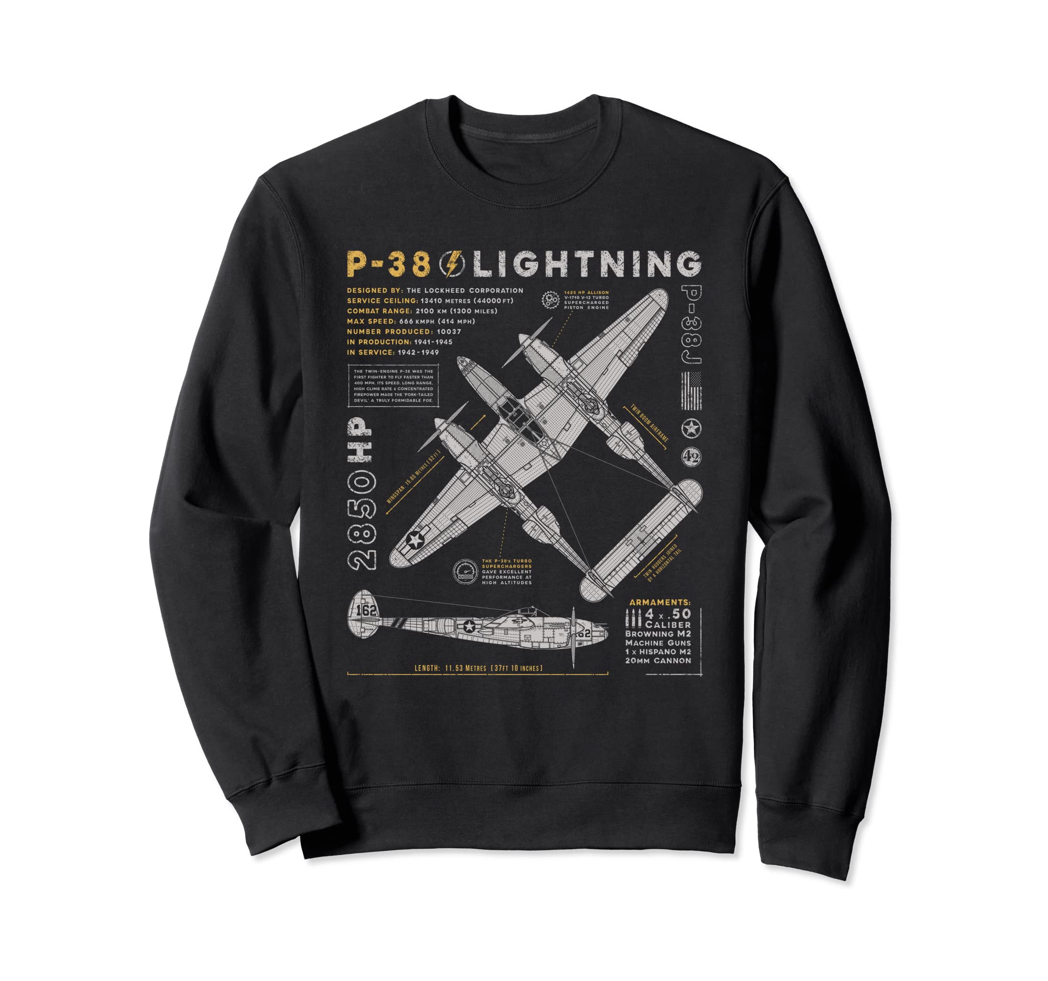 

P-38 Lightning Vintage P38 Fighter Aircraft WW2 Aviation Trainer