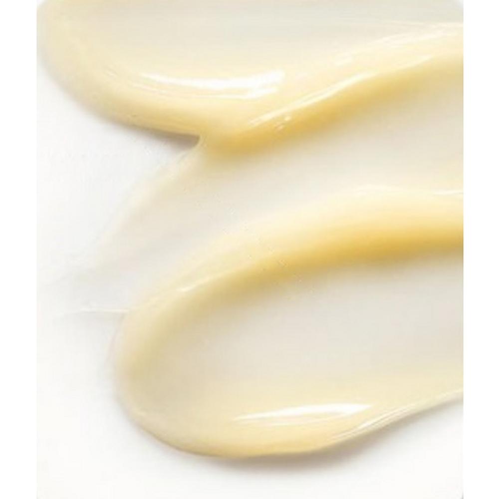 CNP LABORATORY Propolis Essential Eye Cream 50ml – Anti Aging & Firming Care, Korean