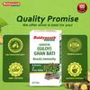 Baidyanath Guduchi Giloy Ghan Bati Tablets 60 Nos Pack Ayurvedic Immunity Booster Giloy Tablets for Wellness