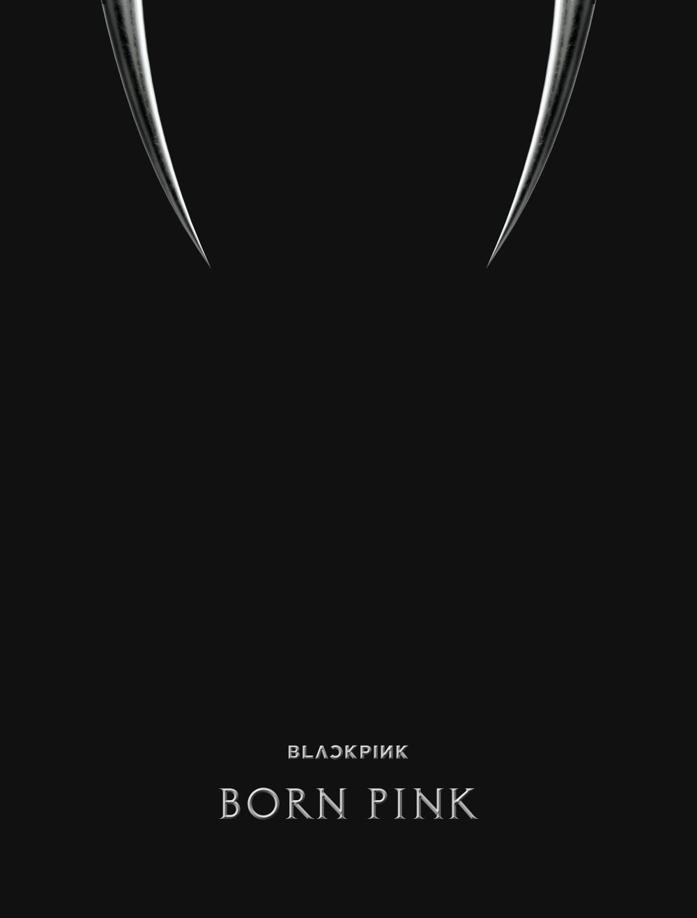 

BLACKPINK - Vol.2 Born Pink Box Set версія Black ver.