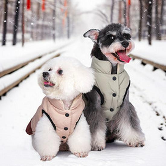 Multicolor Autumn & Winter Dog Jacket - Warm, Cold-Proof, Thickened Cotton