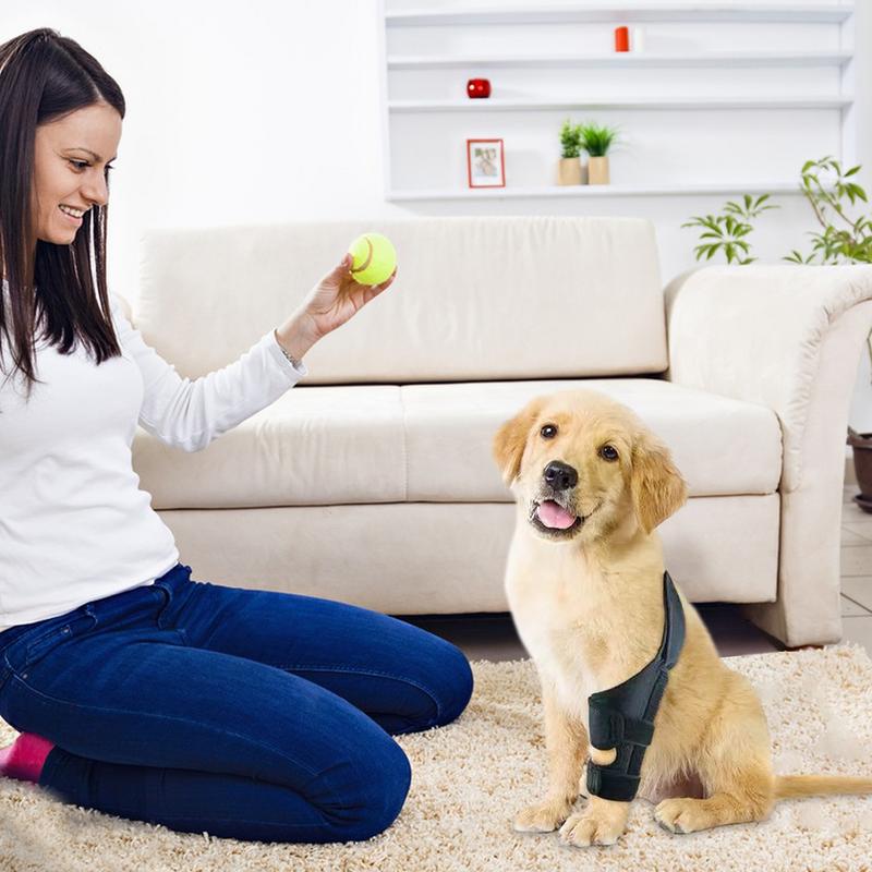 Genouillère Noire Réglable Pour Chien, Attelle De Jambe Arrière, Genouillère Confortable Pour Les Soins Des Blessures, Protecteur 