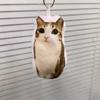 German Kitten Voice Cat Keychain Sound Hanging Decompression Reverses Plush Pendant With Sound Cute Pet Gift Voice Keyring Toy
