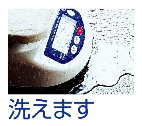 Shinwa Sokutei Digital Top Plate Scale 3kg 70104