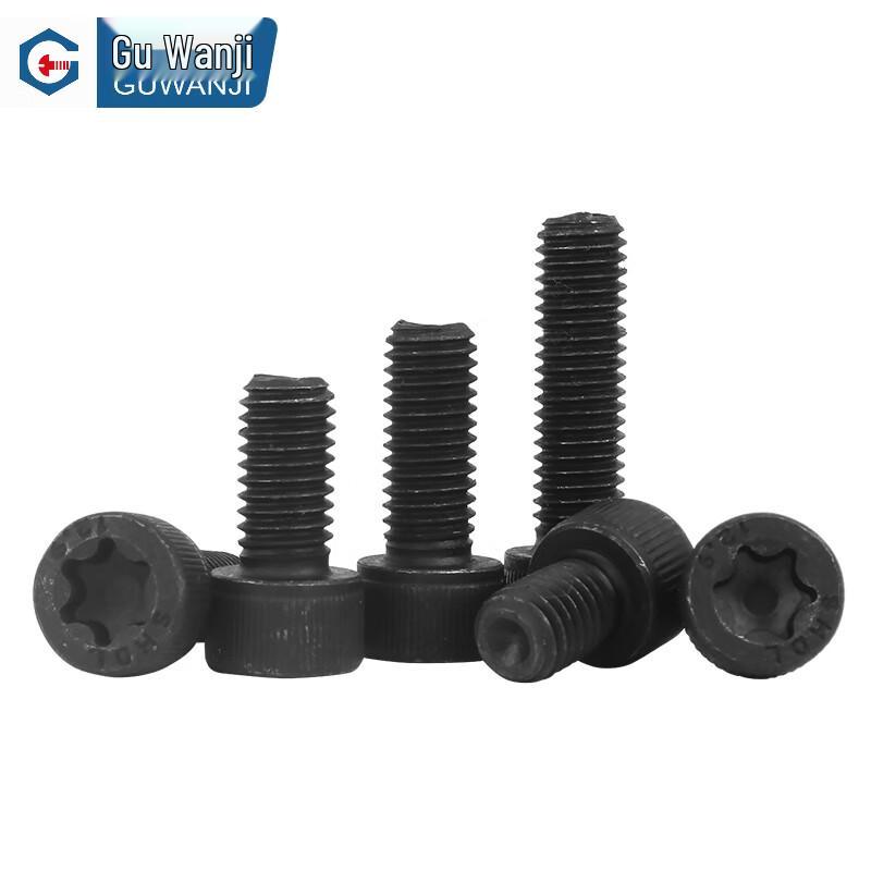 GUWANJI Torx Cap Head Screws