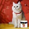 Katten – Kattenhalsbanden en -riemen