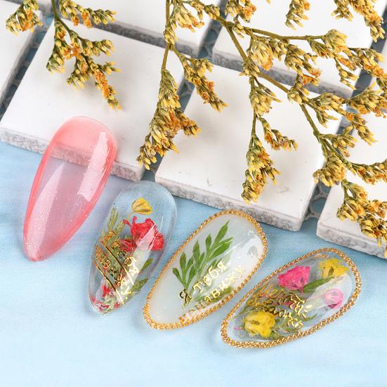 Nail Art Trockenblumen Einzigartige exquisite konservierte Nagelaufkleber aus Kunststoff für Nagelstudios