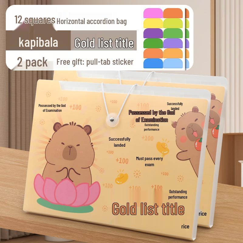 Accordion Bag 5250: Junior High Student Handheld Storage Folder
