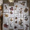 Ketchup Girl: Gentle Flowers Series - Dried Flower Acid-Free Paper for Journaling and Decoration