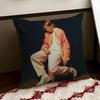 Singer PPorter RRobinson Cushion Cover Reversible Soft Durable Pillow Cover Home  Car MultiScene Use for Daily Comfort